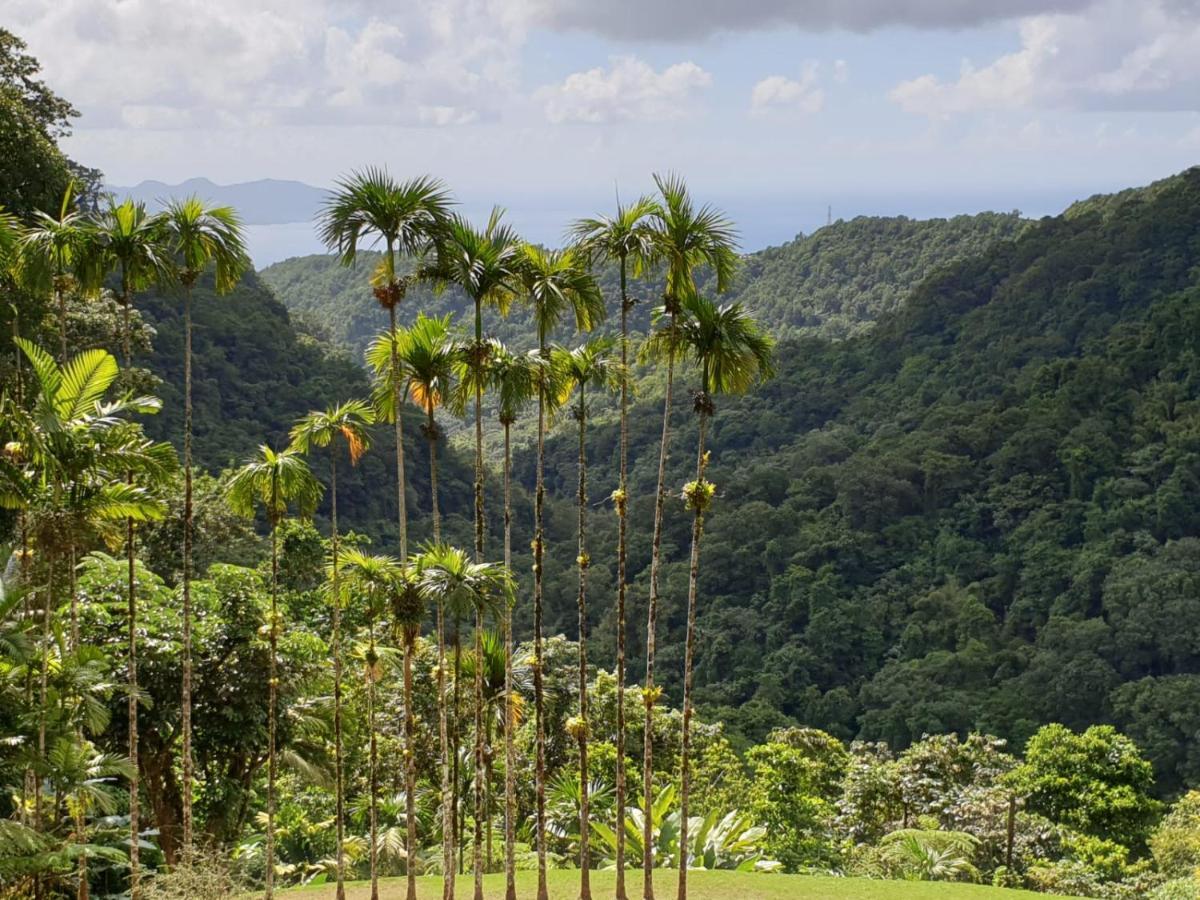La Case A Malou Appartamento Marigot Esterno foto